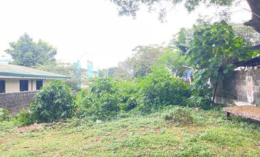 Inner Lot for Sale in Pleasant Village, Tunasan, Muntinlupa City