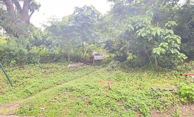 Inner Lot for Sale in Pleasant Village, Tunasan, Muntinlupa City