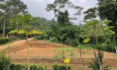 VENDO TERRENO 100m2, EN URB CASCADA AZUL PEDRO VICENTE M.