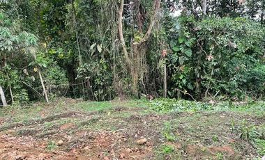 VENDO TERRENO 100m2, EN URB CASCADA AZUL PEDRO VICENTE M.