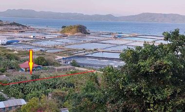 1498sqm seaview lot at Calatagan , Batangas along Brgy road
