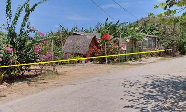 1498sqm seaview lot at Calatagan , Batangas along Brgy road