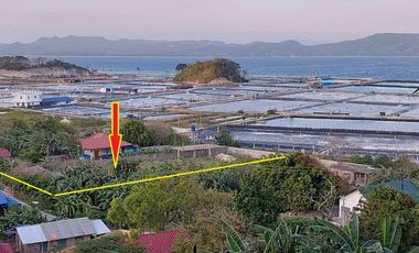 1498sqm seaview lot at Calatagan , Batangas along Brgy road