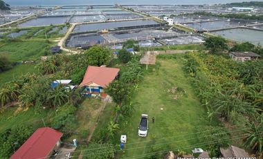 1498sqm seaview lot at Calatagan , Batangas along Brgy road