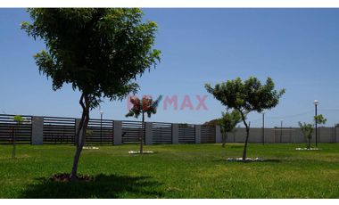 Se Vende Hermosa Casa De Campo En San Clemente- Pisco