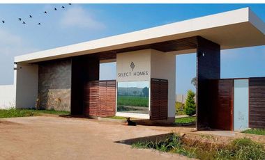 Se Vende Hermosa Casa De Campo En San Clemente- Pisco