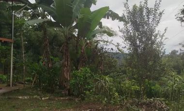 Venta de Quinta en Urbanización Cascada Azul, Pedro Vicente Maldonado