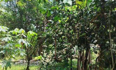 Venta de Quinta en Urbanización Cascada Azul, Pedro Vicente Maldonado