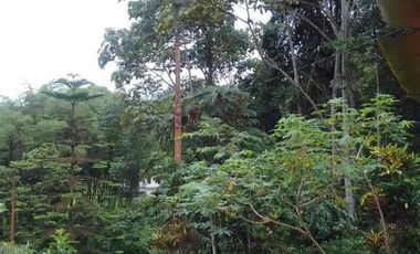 Venta de Quinta en Urbanización Cascada Azul, Pedro Vicente Maldonado