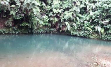 Venta de Quinta en Urbanización Cascada Azul, Pedro Vicente Maldonado