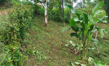 Venta de Quinta en Urbanización Cascada Azul, Pedro Vicente Maldonado