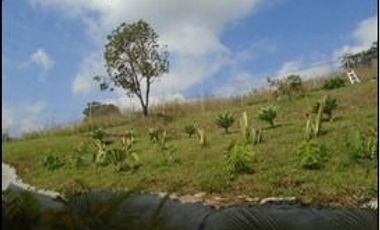 CASA CONDOMINIO DAPA