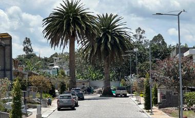 HERMOSO TERRENO DE VENTA EN COLLAQUÍ TUMBACO!