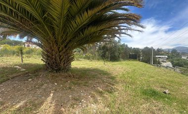 ESPECTACULAR TERRENO EN PAMPAVINTIMILLA EN URB PRIVADA
