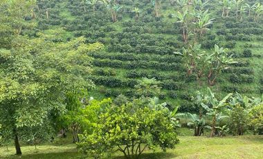 Vendo hermosa Casa Campestre en Combia