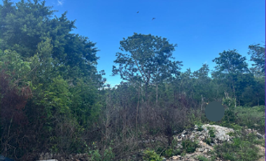 Terreno en Alamos II a la venta en  Cancún