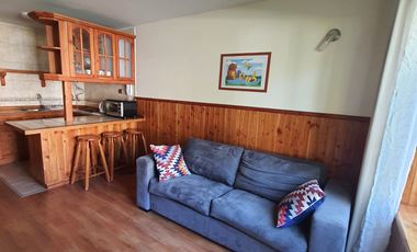 Pucón, en venta depto. a pasos camino principal centro