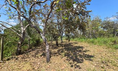 Asegura tu futuro hogar comprando tu lote de terreno antes de que acabe el año. Es la mejor inversión para tu familia.