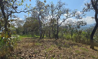 Asegura tu futuro hogar comprando tu lote de terreno antes de que acabe el año. Es la mejor inversión para tu familia.