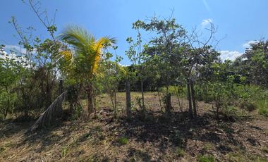 Asegura tu futuro hogar comprando tu lote de terreno antes de que acabe el año. Es la mejor inversión para tu familia.