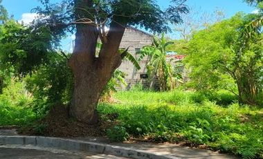 FOR SALE | Residential Lot – The Orchard Golf & Country Club, Dasmariñas, Cavite