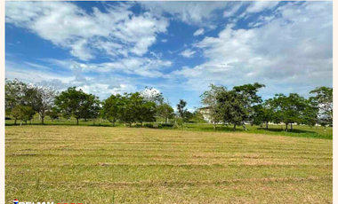 FOR SALE: Residential Lot in Lumira, Nuvali (Calamba, Laguna)
