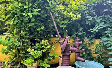 Single detached house for sale in Camella Monserrat Pajac Lapu Lapu