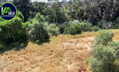 Terreno en venta de 4,615 m2, en El Bondhó, Ixmiquilpan, Estado de Hidalgo.