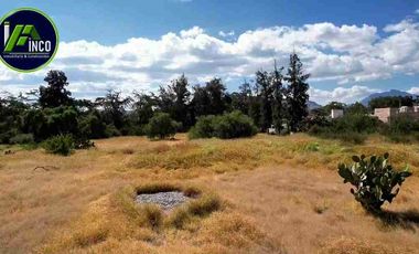 Terreno en venta de 4,615 m2, en El Bondhó, Ixmiquilpan, Estado de Hidalgo.