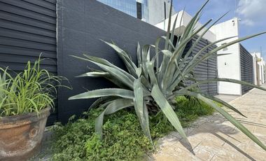 Casa en el norte de Mérida, Fracc Montebello