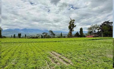 TERRENOS EN VENTA SANTIAGO DEL REY