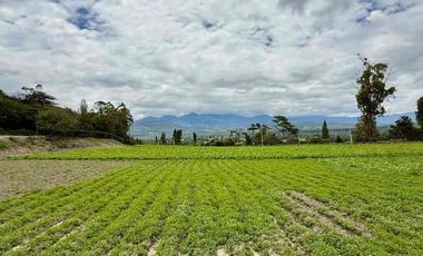 LOTES DE VENTA EN IMBAYA