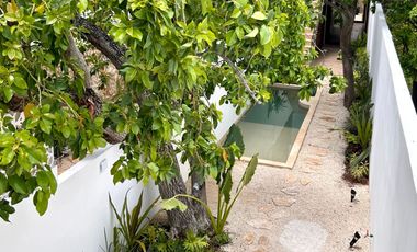Casa en venta en el centro de Mérida Yucatán, Casa en el Parque de la Plancha