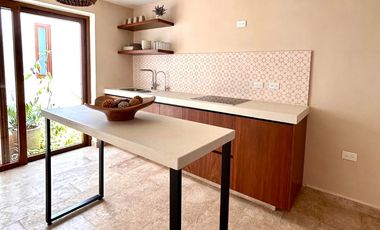 Casa en venta en el centro de Mérida Yucatán, Casa en el Parque de la Plancha
