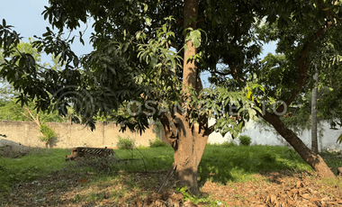 Se Vende Terreno con escritura pública en la zona alta de Lázaro, cerca de Playa Zicatela