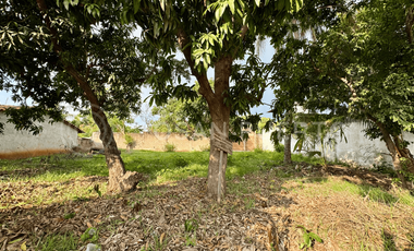 Se Vende Terreno con escritura pública en la zona alta de Lázaro, cerca de Playa Zicatela