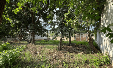 Se Vende Terreno con escritura pública en la zona alta de Lázaro, cerca de Playa Zicatela
