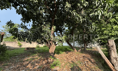 Se Vende Terreno con escritura pública en la zona alta de Lázaro, cerca de Playa Zicatela