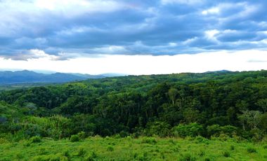 Majestuoso terreno en Cerritos Condominio Campestre con 11312 con vista al valle y con bosque nativo. Pereira - Colombia.
