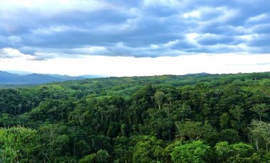 Majestuoso terreno en Cerritos Condominio Campestre con 11312 con vista al valle y con bosque nativo. Pereira - Colombia.