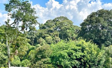 Extraordinario apartamento en Alamos de 78 m2 con 2 alcobas con vista al bosque. Pereira - Colombia.