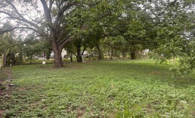 Propiedad en venta en el Potrero, Villaldama