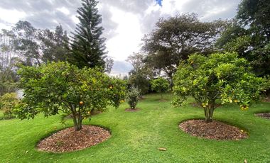 En Renta casa de 4 dormitorios en Puembo