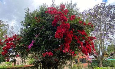 En Renta casa de 4 dormitorios en Puembo