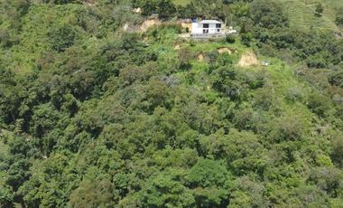 Finca 5 hectáreas con casa