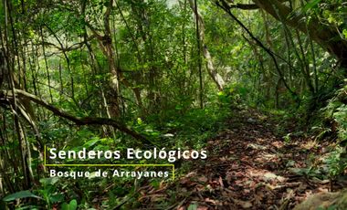 Finca 5 hectáreas con casa