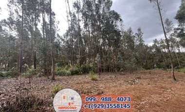 Lote Plano de venta  Ideal para construcción de Proyecto Turístico , Inmobiliario o inversión.
