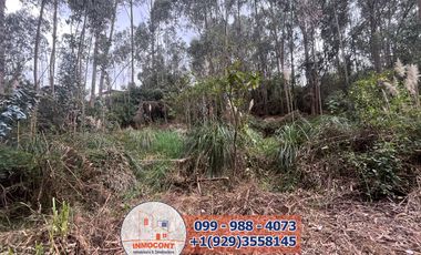 Lote Plano de venta  Ideal para construcción de Proyecto Turístico , Inmobiliario o inversión.