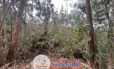 Lote Plano de venta  Ideal para construcción de Proyecto Turístico , Inmobiliario o inversión.