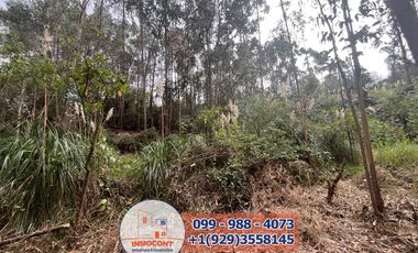 Lote Plano de venta  Ideal para construcción de Proyecto Turístico , Inmobiliario o inversión.